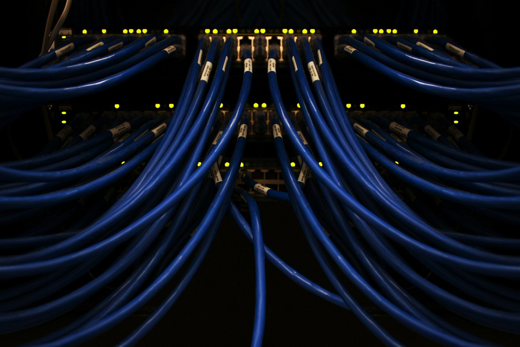 Blue network cables running into a server rack